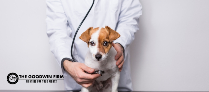 veterinary-malpractice